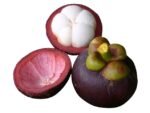 Mangostão Roxo